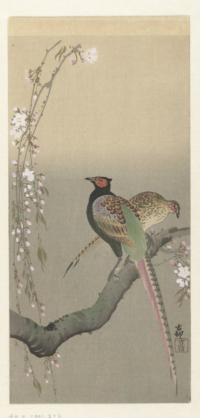 Et par fasaner og kirsebærblomst af Ohara Koson