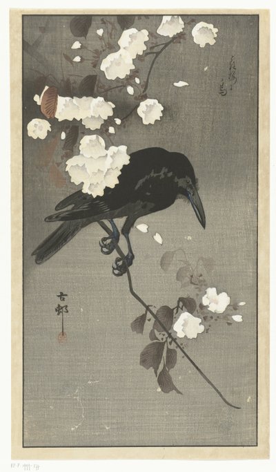 Krage med kirsebærblomst Hana sakura no tori (titel på objekt) af Ohara Koson