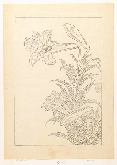Lelies af Ohara Koson