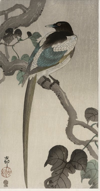 Magpie på en Pauwolna-gren (farvet træbloktryk) af Ohara Koson
