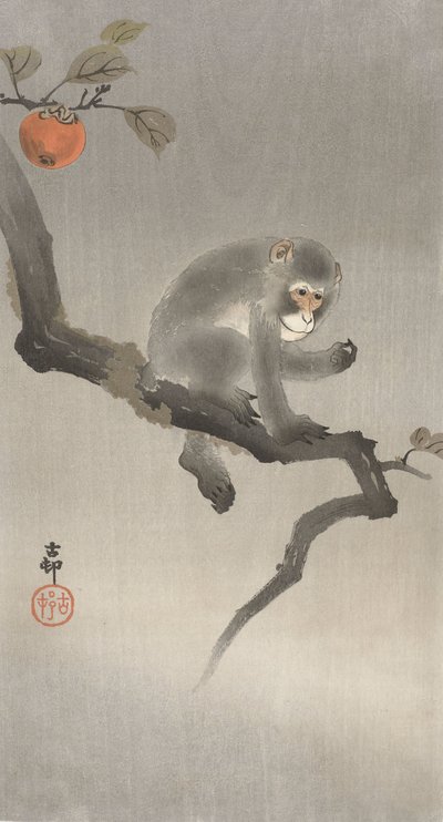 Abe i et frugttræ, 1900-30 (farvetræsnit) af Ohara Koson