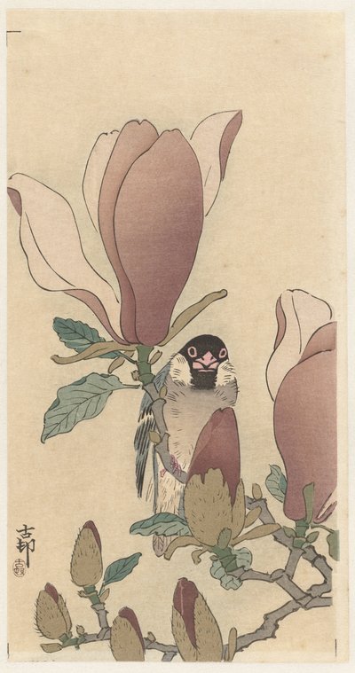 Spurv på blomstrende magnolia gren af Ohara Koson