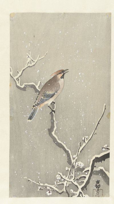 Voksvinge på snedækket gren af Ohara Koson