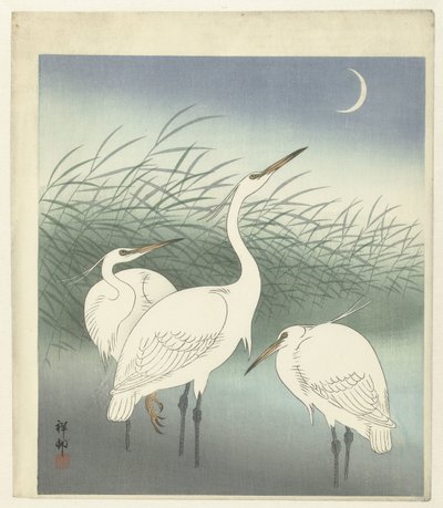 Hejrer på lavt vand af Ohara Koson