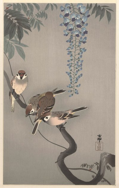 Ringspurve ved blåregn af Ohara Koson