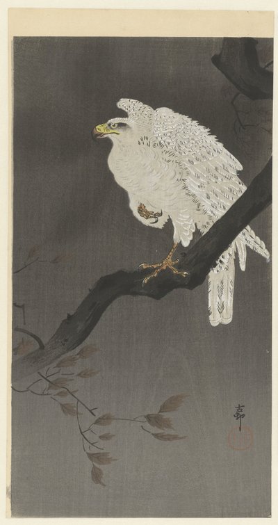 Lumikotka oksalla af Ohara Koson