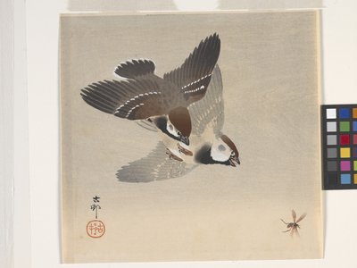 Sparrows Chasing Flying Insect (farvet træbloktryk) af Ohara Koson