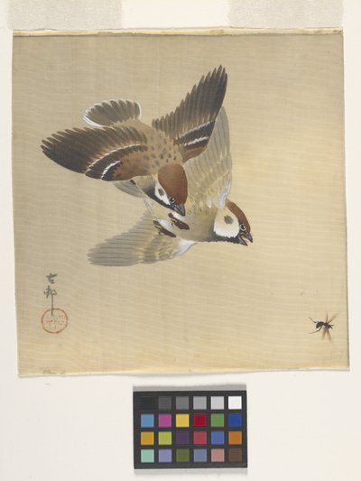 Spurve jager flyvende insekter (blæk og farve på silke) af Ohara Koson