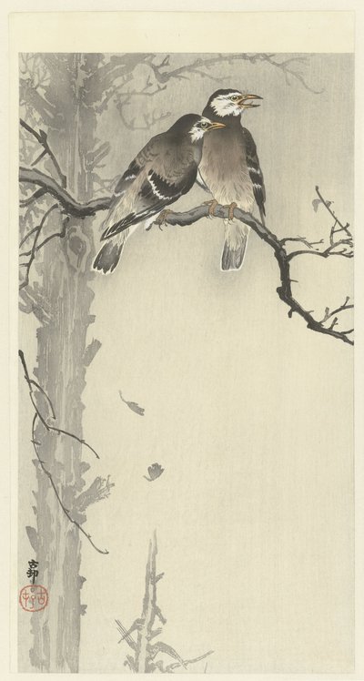 To grå stære af Ohara Koson