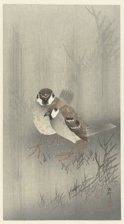 To ringspurve i regnen af Ohara Koson