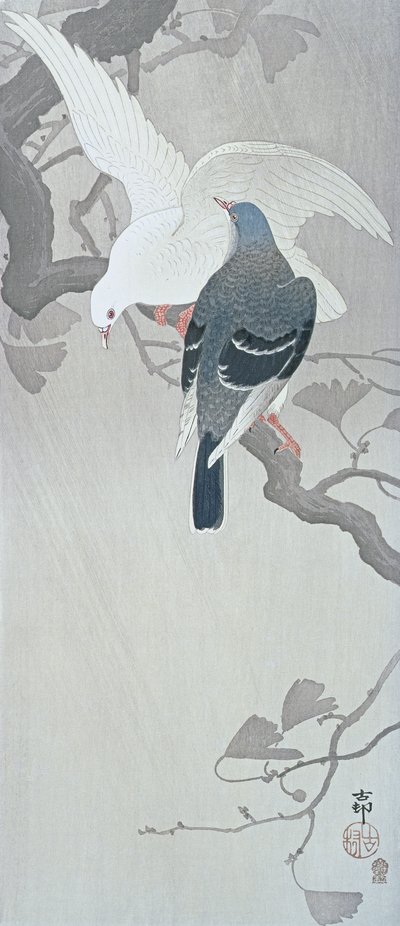 To duer i regnen på en gren af et ginkgotræ af Ohara Koson