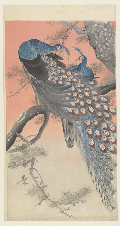 To påfugle på en trægren af Ohara Koson