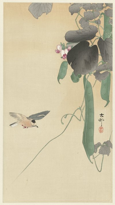 Fugl ved blomstrende bønneplante af Ohara Koson