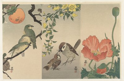 Fugle og planter af Ohara Koson