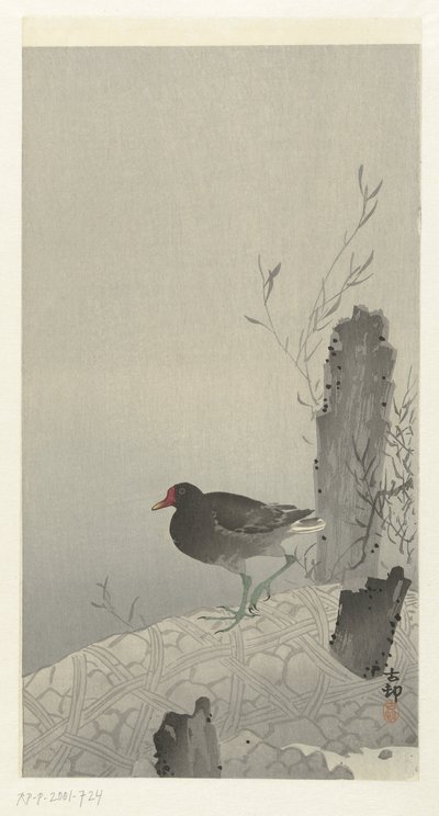 Waterhoen af Ohara Koson