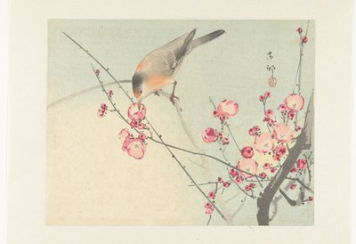 Sangfugl på blomstrende gren af Ohara Koson
