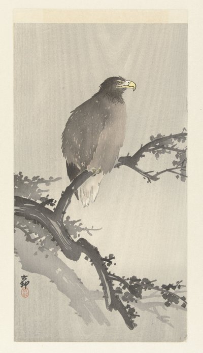 Skaldet ørn på gren af Ohara Koson