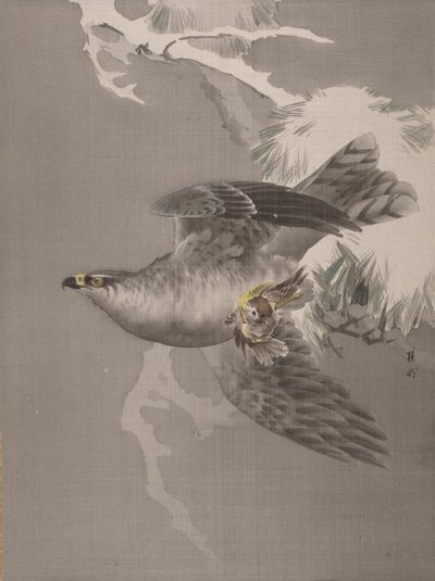 Høg holder en lille fugl, ca. 1891-92. af Okada Baison