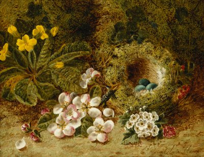 Æbleblomster, en Primrose- og Fuglerede på en Mosebred, af Oliver Clare