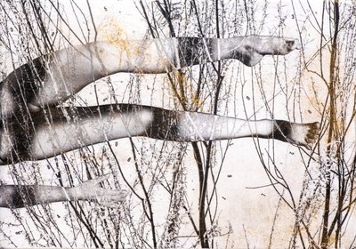 Gambe volanti, 2022 (blandede medier på træ) af Olivia Gozzano