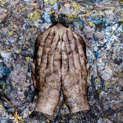 Licheni, 2024 (digitale blandede medier) af Olivia Gozzano