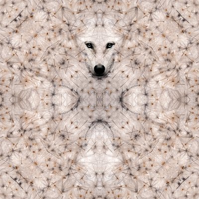 Semi lupus, 2023 (digital mixed media) af Olivia Gozzano