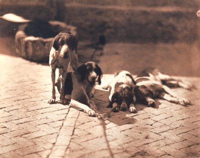 Jagthunde, ca. 1853 (salttryk) af Olympe Aguado