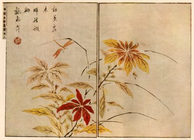 Dragonfly med planter, 1746, 1924. af Ooka Shunboku