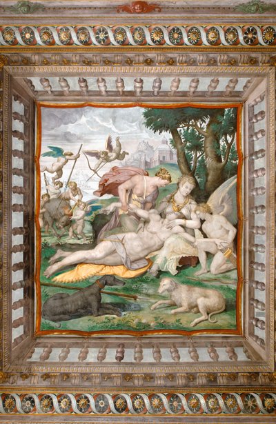 Adonis død fra loftet i Adonis værelse, Rocca dei Rossi, San Secondo, Parma, Italien, detalje fra 2384731 af Orazio (attr.to) Samacchini