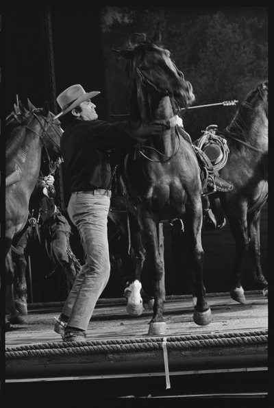 Gregory Peck med hest på settet af 
