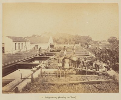 Indigo fabrik (læser karene) af Oscar Jean Baptiste Mallitte