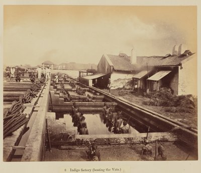 Indigo fabrik (læser karene) af Oscar Jean Baptiste Mallitte