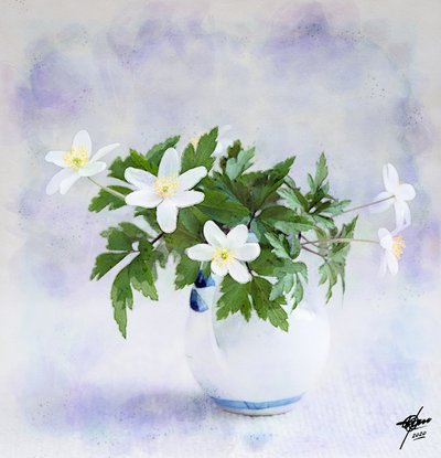 Delikate hvide forårsblomster af Osvaldo Russo