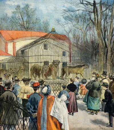 Den nye fauve-rotunde i Jardin des Plantes af Oswaldo Tofani