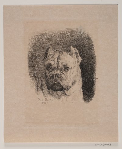 Et hundehoved af Otto Bache