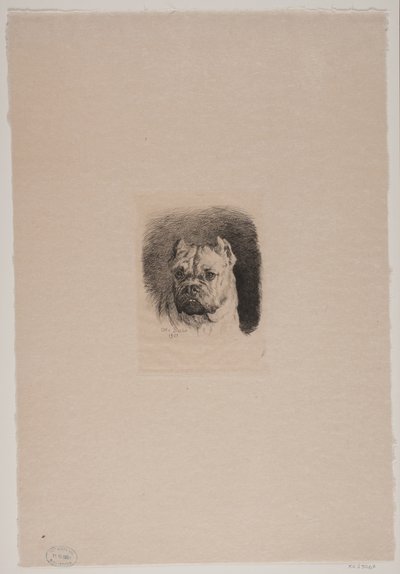 Et hundehoved af Otto Bache