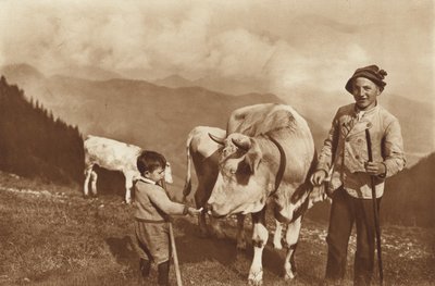 På Alpen af Otto Ballerstedt