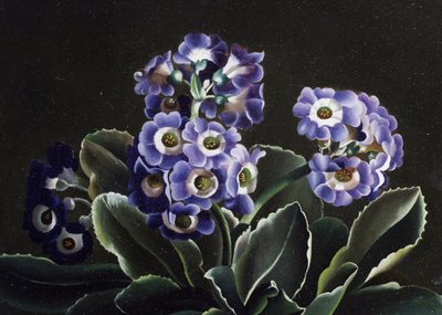 Stilleben med primulaer af Otto Didrik Ottesen