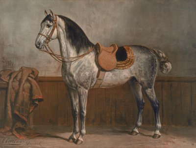 Lipizzaner af Otto Eerelman