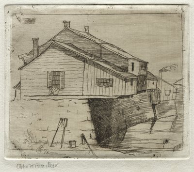 Cottages, Cleveland, 1878. af Otto H. Bacher
