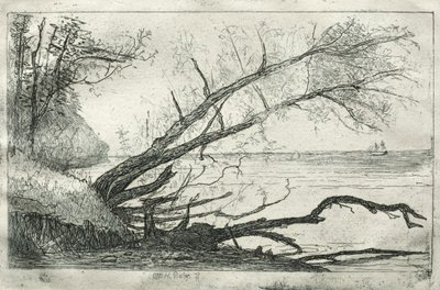 Old Sycamore, 1877. af Otto H. Bacher