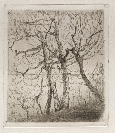 Skov ved søen, 1878. af Otto H. Bacher