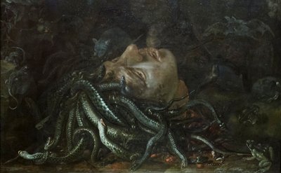Leder af Medusa af Otto Marseus  van Schrieck