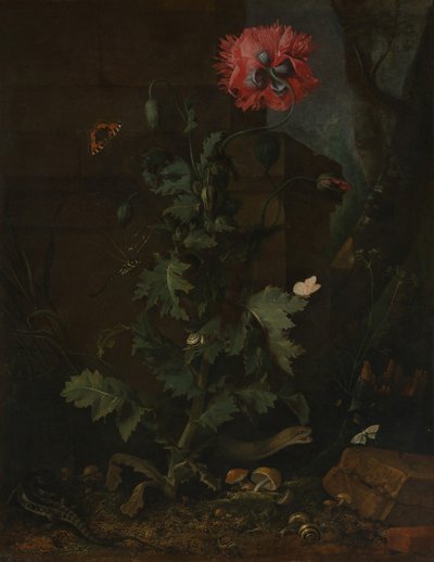 Stilleben med valmue, insekter og krybdyr, ca. 1670. af Otto Marseus  van Schrieck
