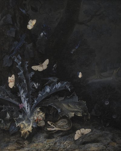 Stilleben med tidsel og slange af Otto Marseus  van Schrieck