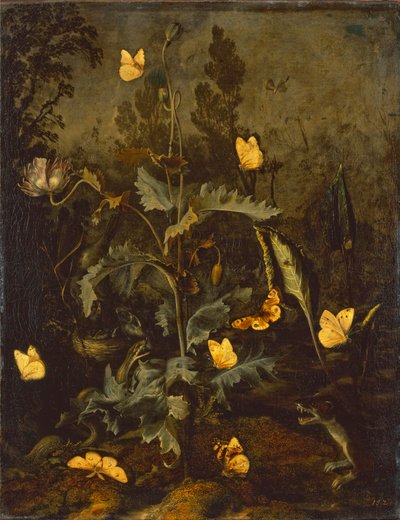 Slangen ved fuglereden / Opiumsvalmue med fuglerede, slange, sommerfugle og mindst væsel af Otto Marseus  van Schrieck