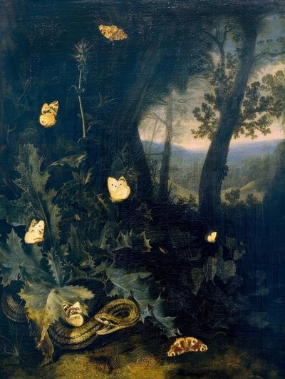 Skovbund med tidsler og slange af Otto Marseus  van Schrieck