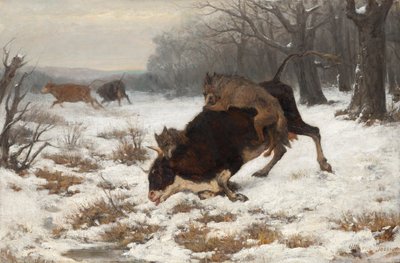 En ko bliver angrebet af ulve af Otto von Thoren