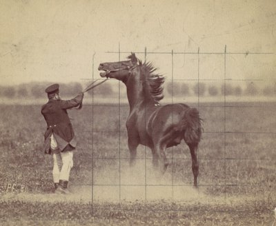 Hest, 1884. af Ottomar Anschütz