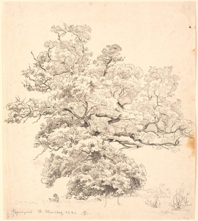 Et stort egetræ, hvorunder der sidder en tegnende mand. af P.C. Skovgaard